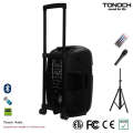 OEM 12 pouces en plastique Trolley PRO Audio avec batterie